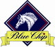 Blue Chip Pony Newcomers Second Round at Bury Farm Equestrian Village 